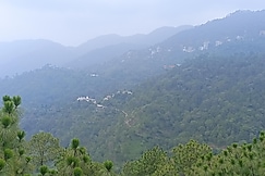 Jungle holiday home kasauli, Mashobra