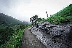 Riverside Farm Stay Marayoor, Marayoor