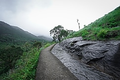 Riverside Farm Stay Marayoor, Marayoor