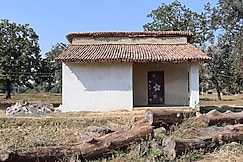 Sagon Homestay, Singrauli