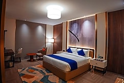 HOTEL  SPECTORO A LUXURY HOTEL, Bathinda