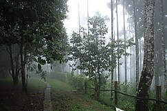Greeda s Grange Krishi Bhavan, Mannarkad