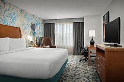Hilton Garden Inn Fort Worth Medical Center, Erath