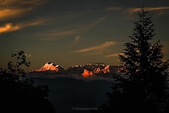 THC Ecostays Kausani, Kausani