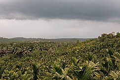 Orchard Ridge, Bantval